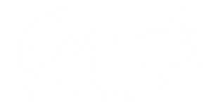 The GUU Shop